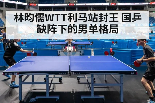 professional table tennis match