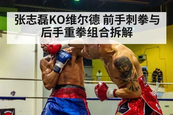 张志磊KO维尔德 前手刺拳与后手重拳组合拆解