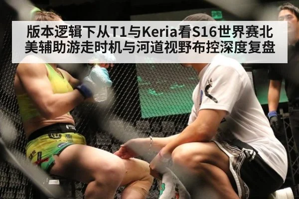 版本逻辑下从T1与Keria看S16世界赛北美辅助游走时机与河道视野布控深度复盘